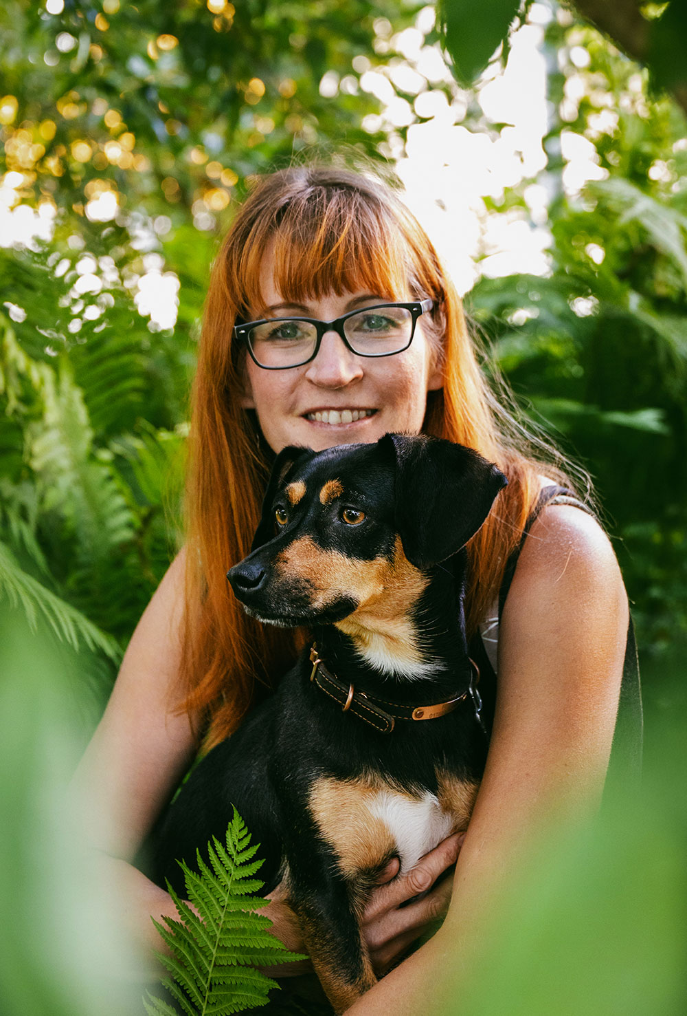 Fotostudio Hundefotografie Fotostudio Hundefotografie